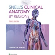 Clinical Anatomy by regions