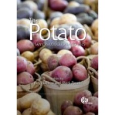 Potato