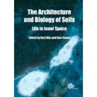 Architecture and Biology of Soils