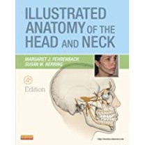 Illustrated Anatomy of the Head and Neck