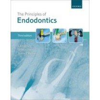 The Principles of Endodontics