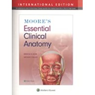 Moore's Essential Clinical Anatomy