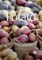 Potato